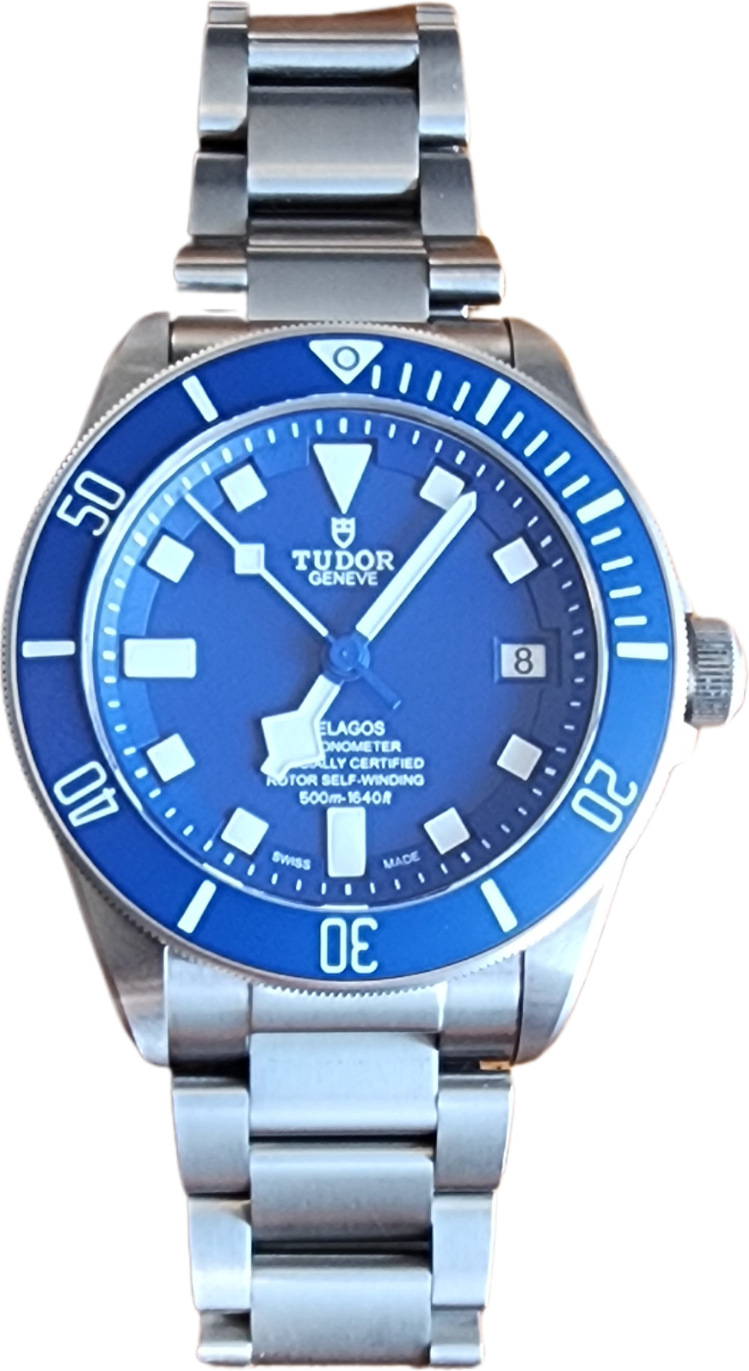 Tudor Pelagos - Image 1