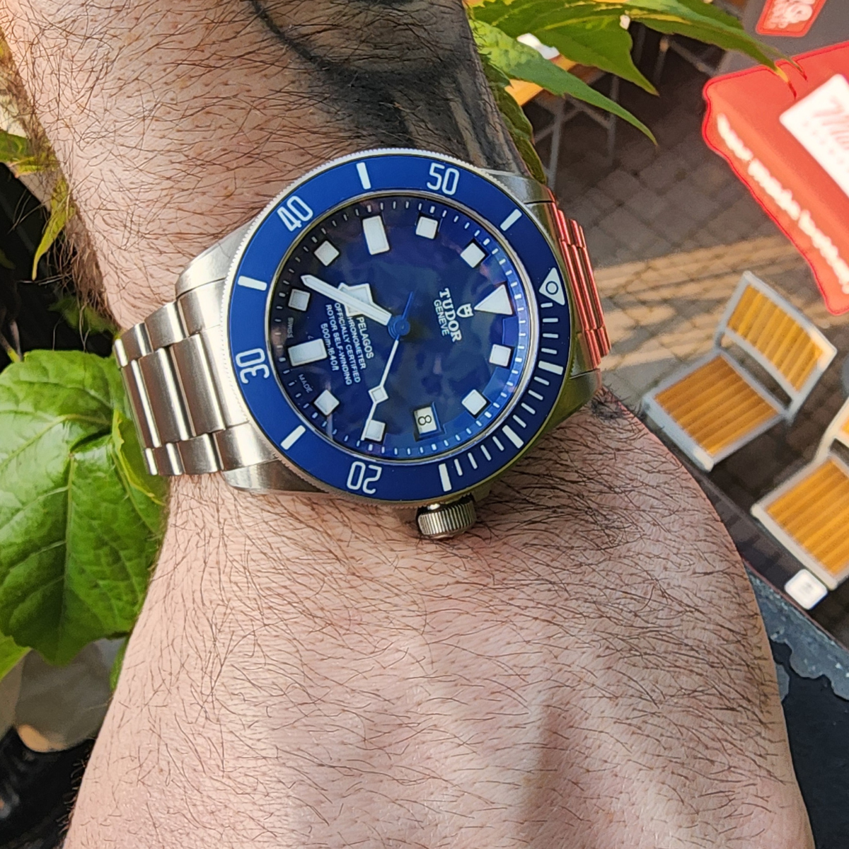 Tudor Pelagos - Image 7