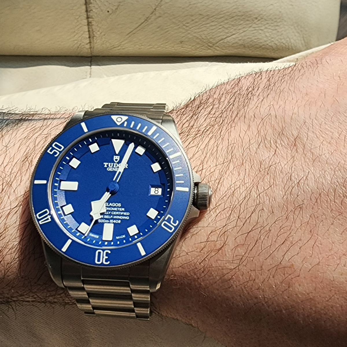 Tudor Pelagos - Image 2