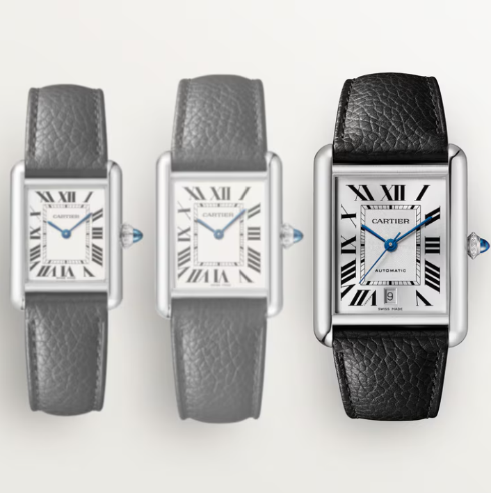 Tank Must de Cartier watch 3